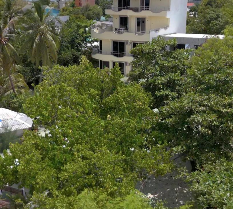 Noah Private Beach House 心玛芙市 外观 照片